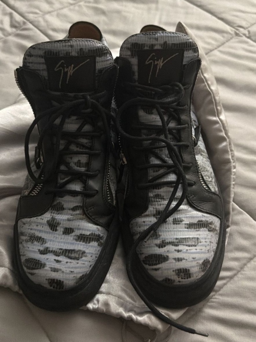 Giuseppe Zanotti